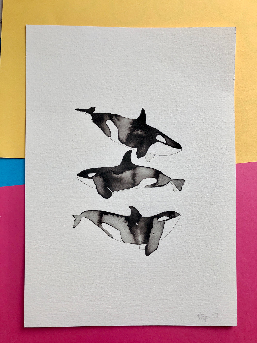 Orca Whale Illustration - unframed giclee print - second